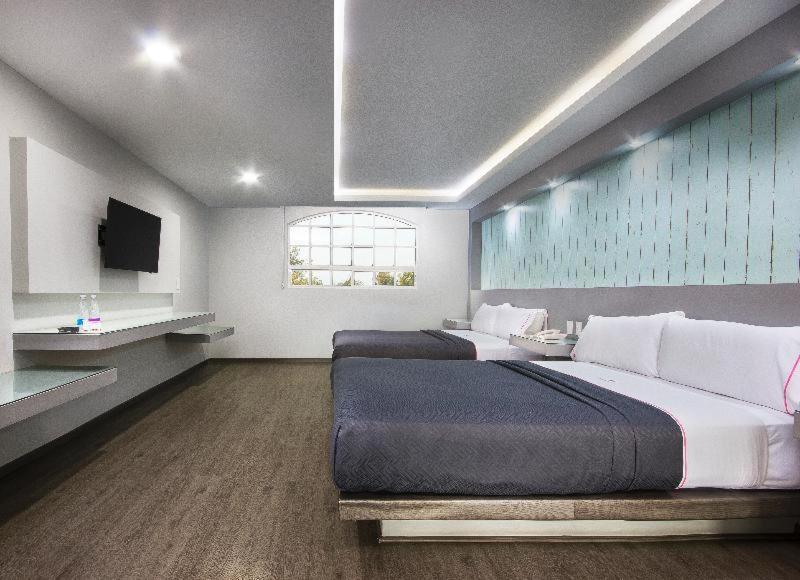 Hotel Mx Congreso Mexikóváros Szoba fotó